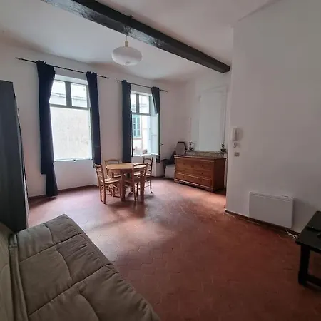Grand Studio Centre Historique Apartment *